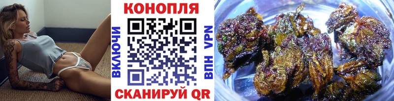 Бошки Шишки семена  Моздок 